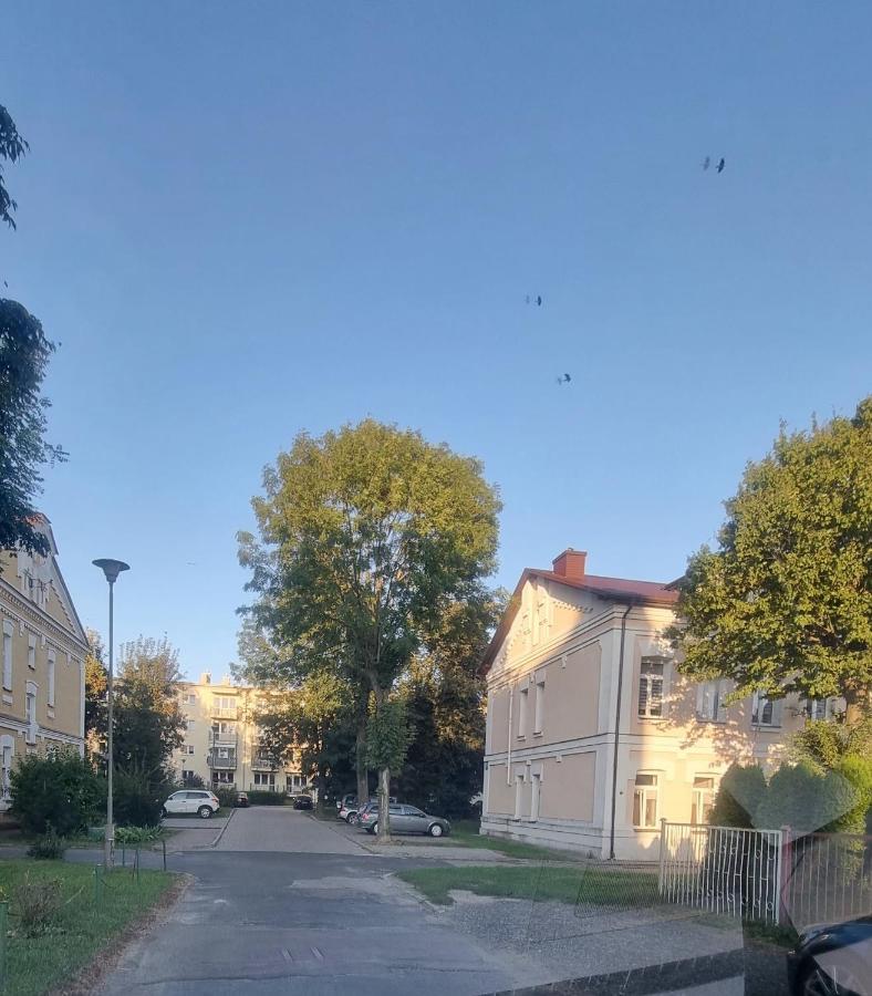 Apartament Kresowy Parter 3 Pokoje Duza Lazienka Kabino-Wanna Spa Wi Fi Ekspres 2X Smart Tv Antresola Parking Free Plac Zabaw Bilet Na Aquapark 150M W Cenie Hrubieszow Dış mekan fotoğraf